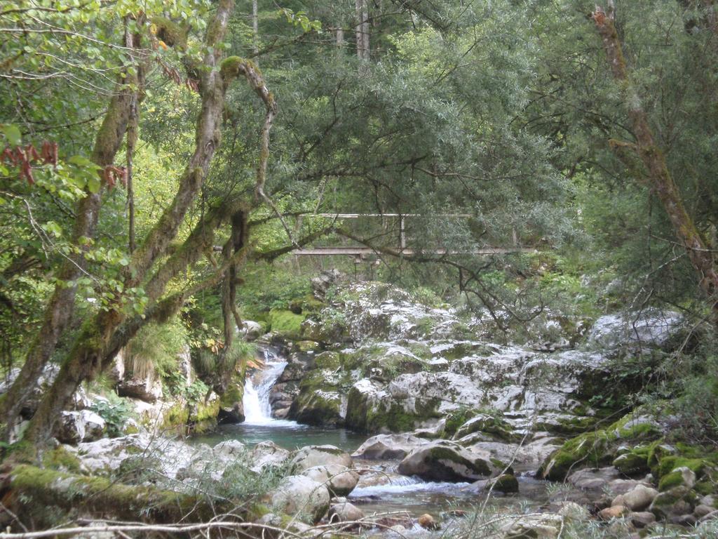 Guest House Mystic River Bovec Exteriör bild